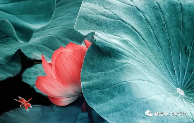做不了正經(jīng)生意的門(mén)面 做不了正經(jīng)生意的門(mén)面