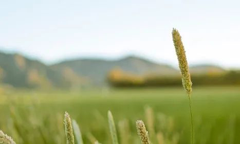 八字對婚姻的影響 八字對婚姻的影響