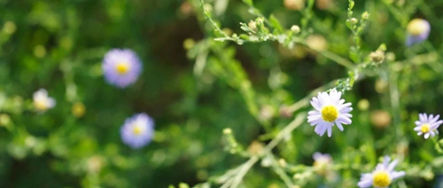 人生規跡(一) 人生規跡(一)